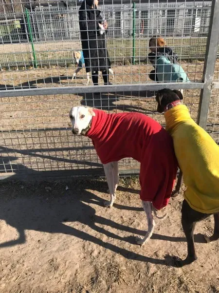 24251037 10212893714050148 1013323724 o