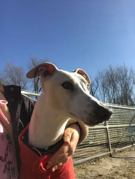 24251071 10212893711810092 912423716 o