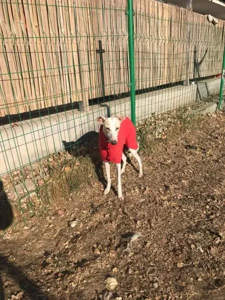 24251135 10212893709050023 1525923702 o