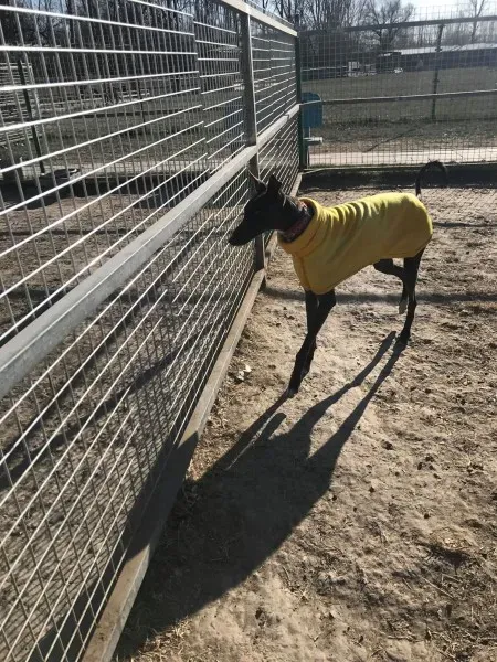 24251136 10212893711410082 16274205 o