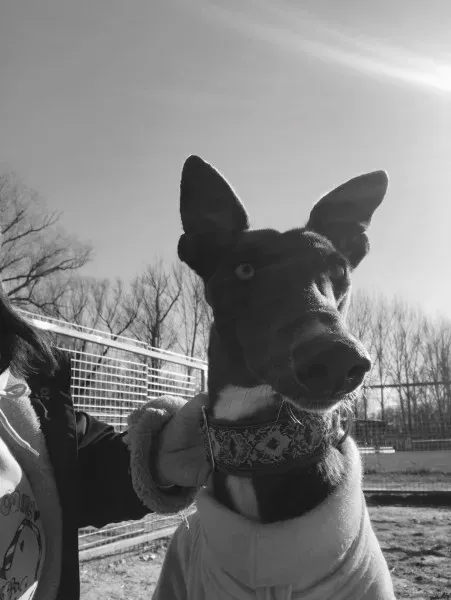 24251162 10212893712370106 1763327255 o