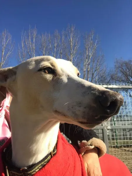 24251175 10212893711530085 669239611 o