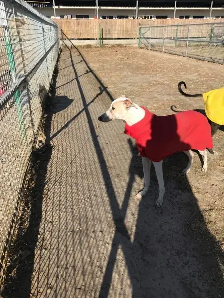 24251207 10212893710690064 2081764131 o