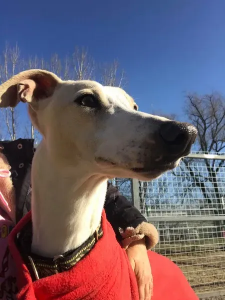 24251255 10212893711450083 1386503206 o