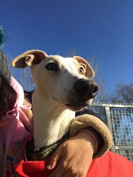 24251378 10212893711370081 1547435818 o