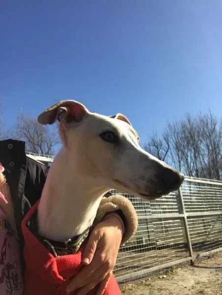 24251392 10212893711770091 1939462682 o