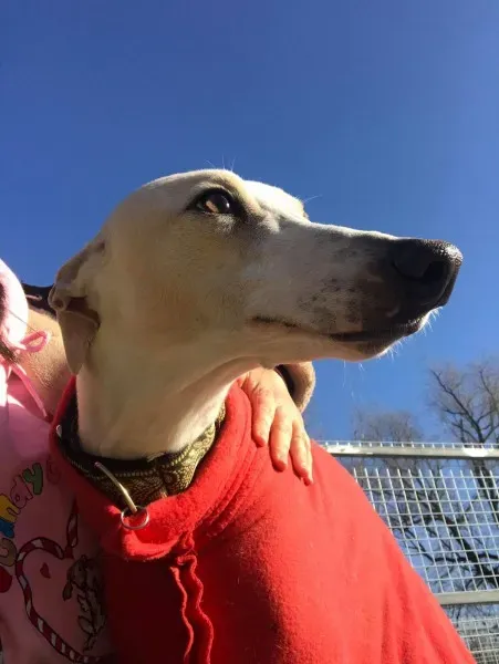 24251494 10212893712010097 1870080999 o