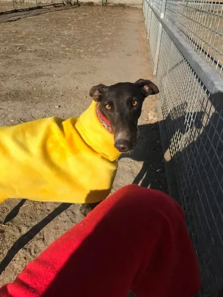 24251517 10212893706569961 1749200936 o