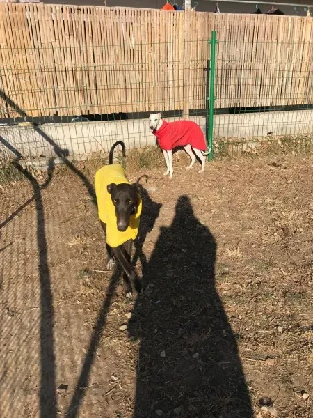 24259314 10212893710050048 235968495 o