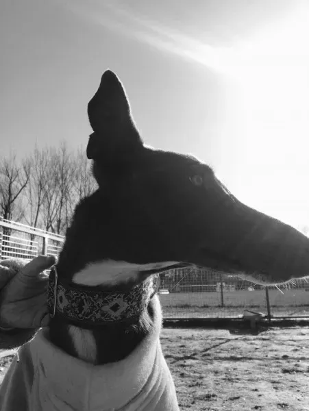 24259377 10212893712250103 359583881 o