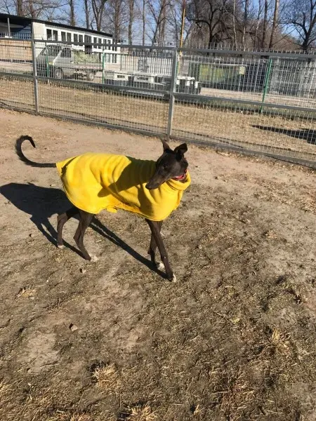 24259456 10212893710610062 708183744 o