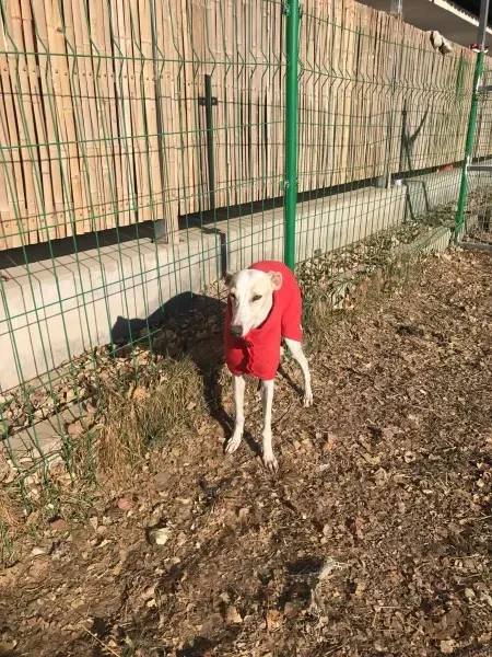 24259689 10212893709130025 91921591 o