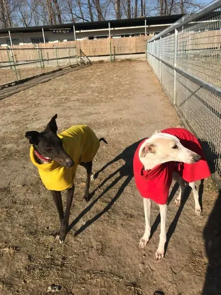 24271028 10212893706249953 17214334 o 1