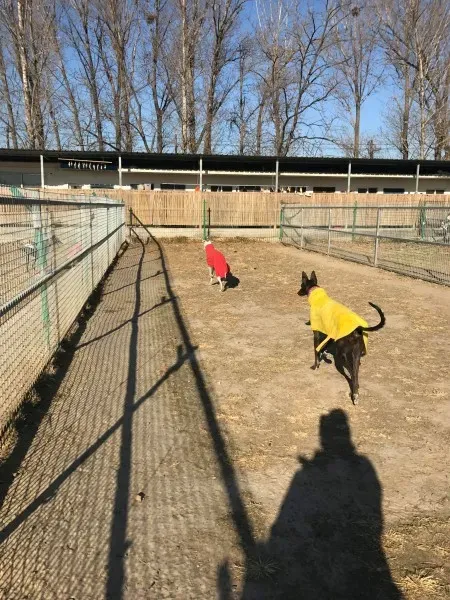 24271092 10212893710570061 1891630647 o