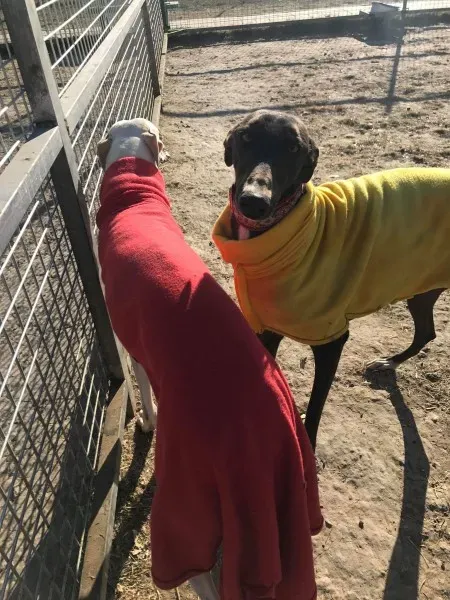 24271286 10212893712410107 701788610 o