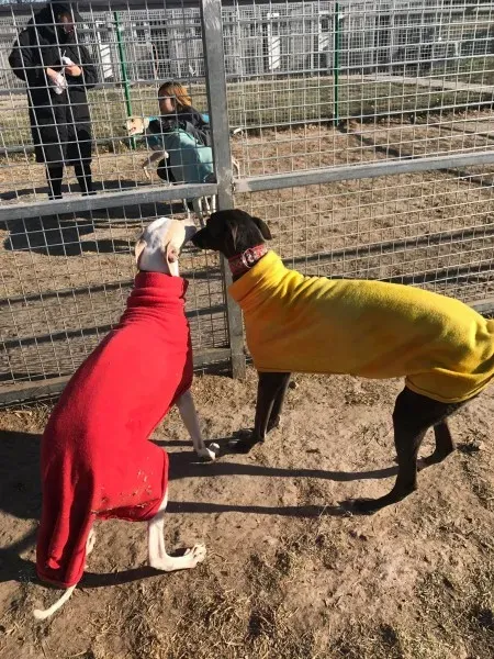 24271315 10212893714090149 1359410448 o