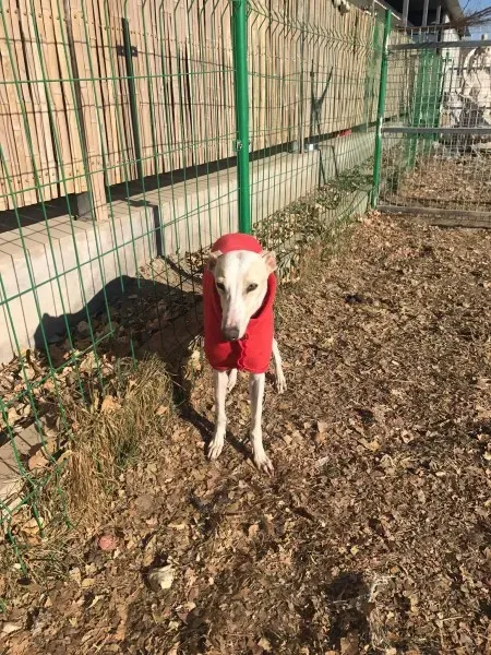 24271327 10212893708890019 346976888 o