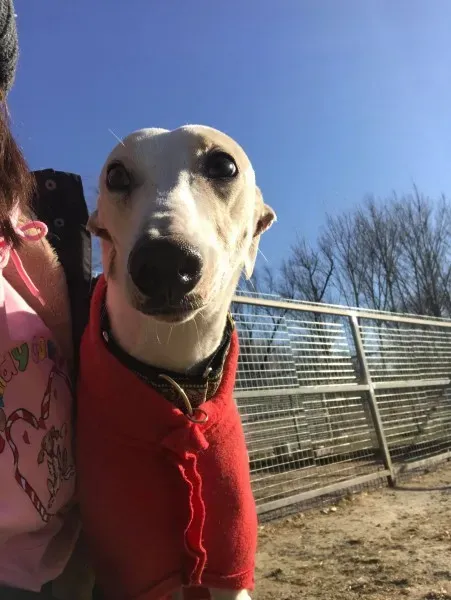 24271429 10212893711970096 539666599 o