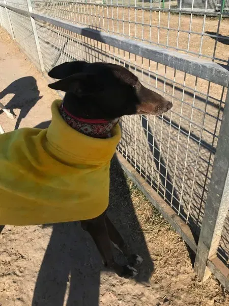 24281522 10212893706289954 238105388 o