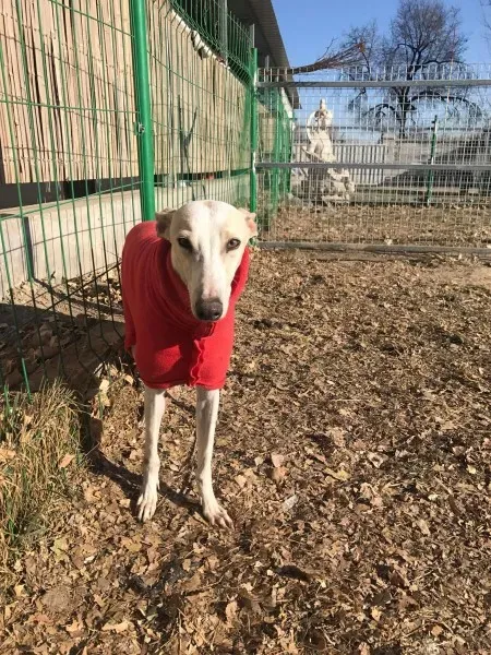 24281690 10212893708410007 1201364313 o