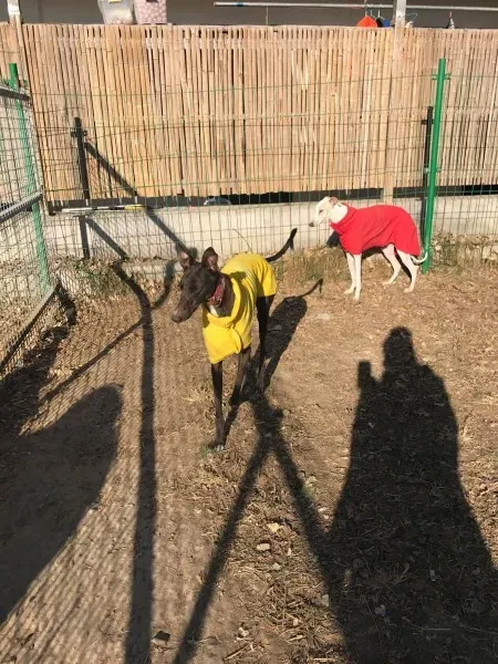 24281797 10212893710090049 435327451 o