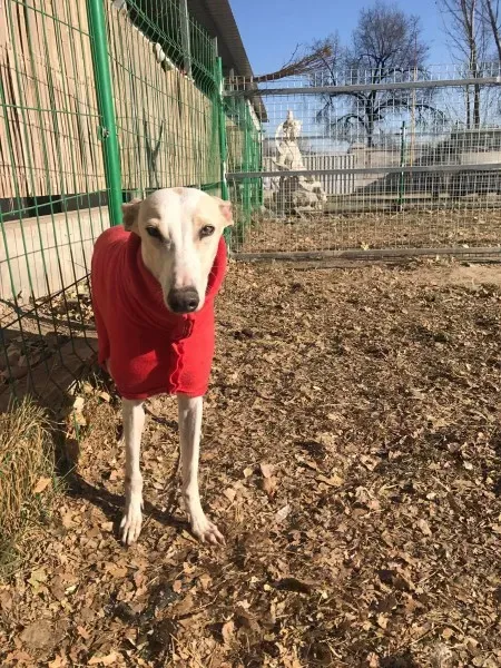 24281841 10212893708290004 835927139 o