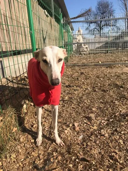 24321667 10212893706809967 1384600260 o