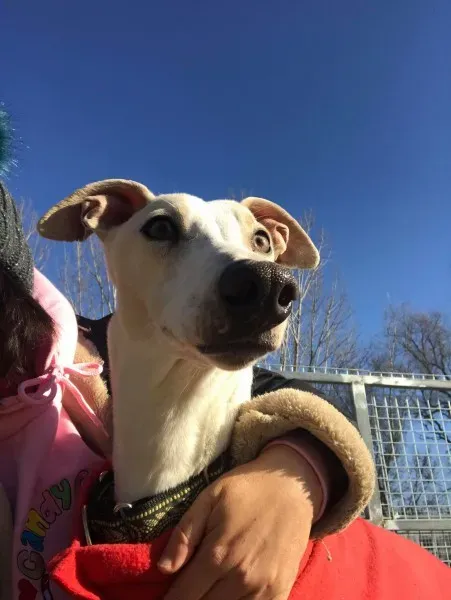 24321709 10212893711610087 1844734421 o