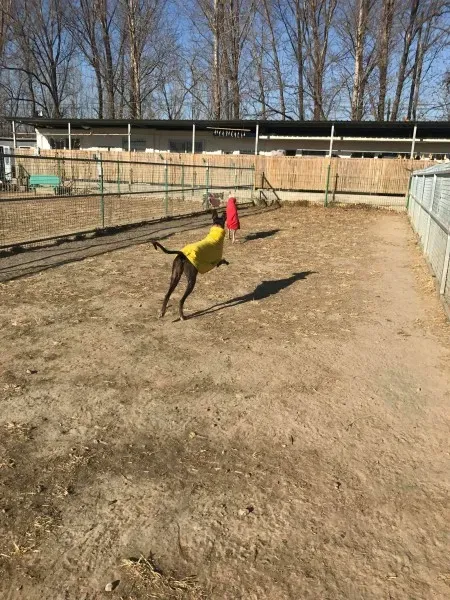 24321794 10212893711330080 2021713344 o 1