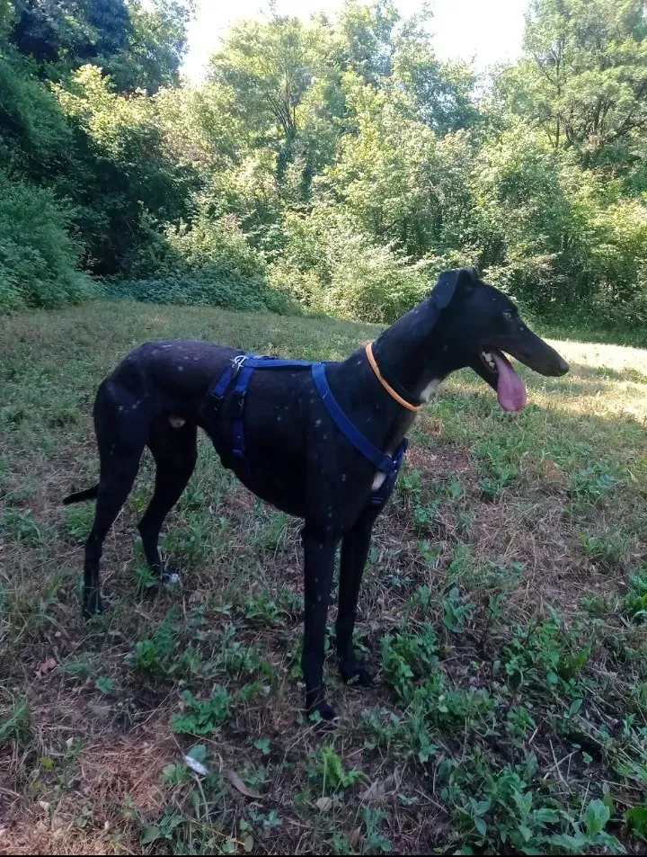 243904757 10227548617128825 1777831110962137530 n