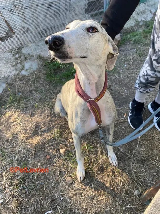 244318323 203758811723229 6732004874148271044 n