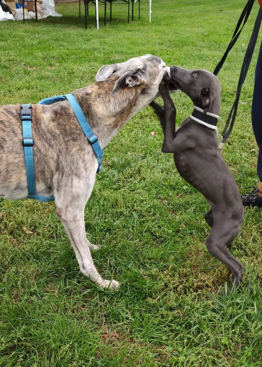 244615580 10216216507165040 5129647537602596451 n