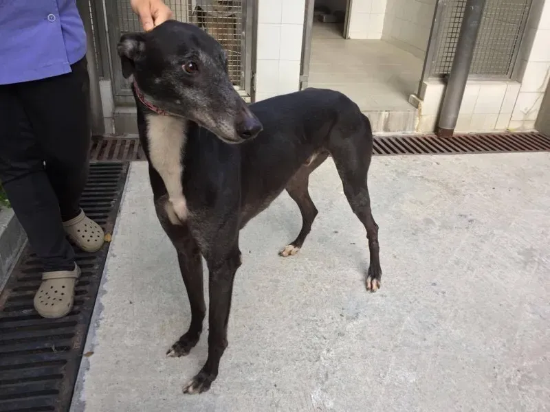 24651050 1373343196133706 1955267198 o