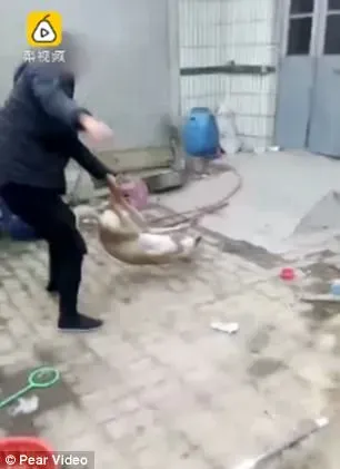 24796457 529304247427675 6389007292464931447 n 1