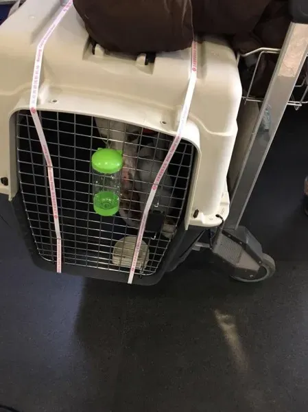 24909857 1567437673340082 5800697842813220199 n