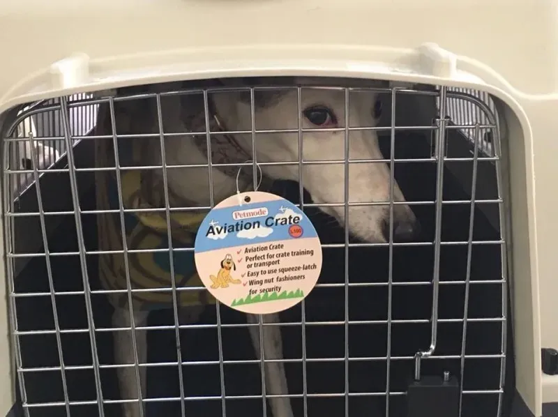 24909972 1567437613340088 1282805033545582760 n