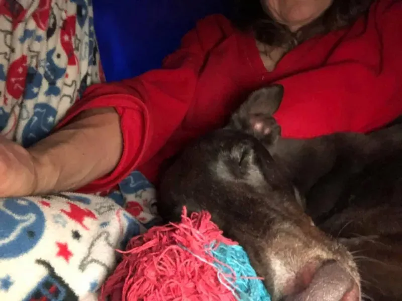 24991558 1568953323188517 927126771195486119 n