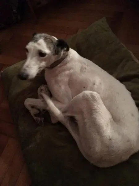 24991579 1569017439848772 7909919453057649012 n