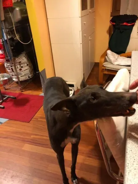 24993592 1568953609855155 290609836581892177 n