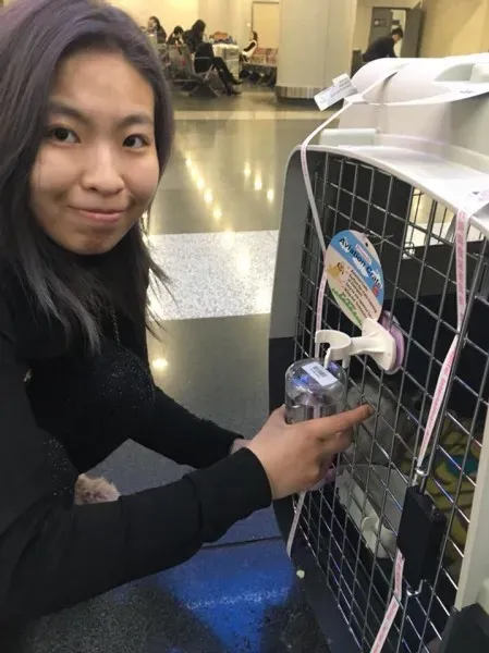 24993616 1567437710006745 5903925077720429258 n