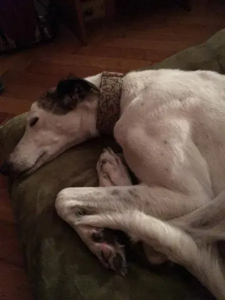 25289208 1569017596515423 152268930752033179 n