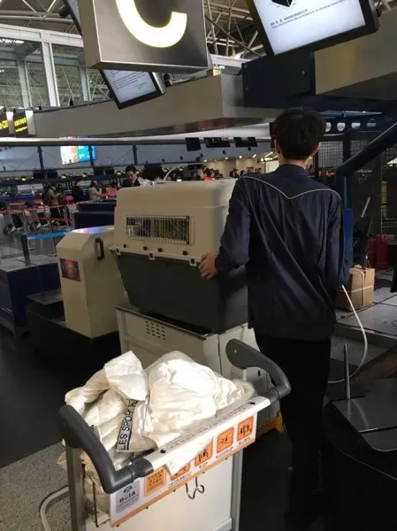 25289433 1567437656673417 7502078508531003997 n