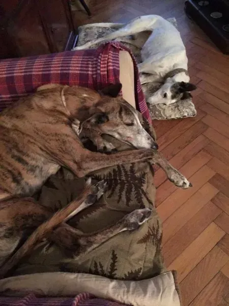 25289721 1569017539848762 2010501568538057996 n