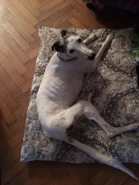 25299422 1569017613182088 8405994079954047279 n