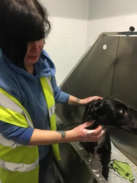 25299482 1960720630612293 3795404276554851716 n