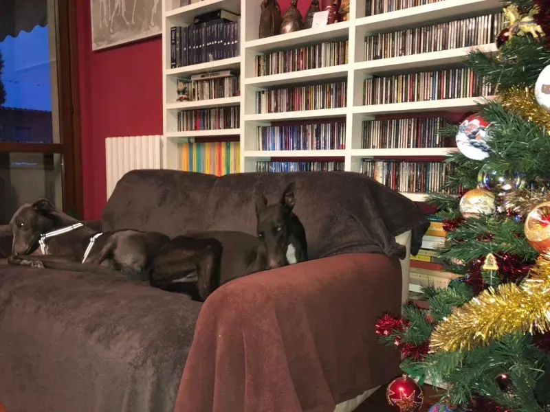 25299785 1568953373188512 1108429196065655536 o