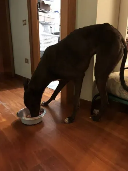 25353695 1568953179855198 5642065753873269816 n