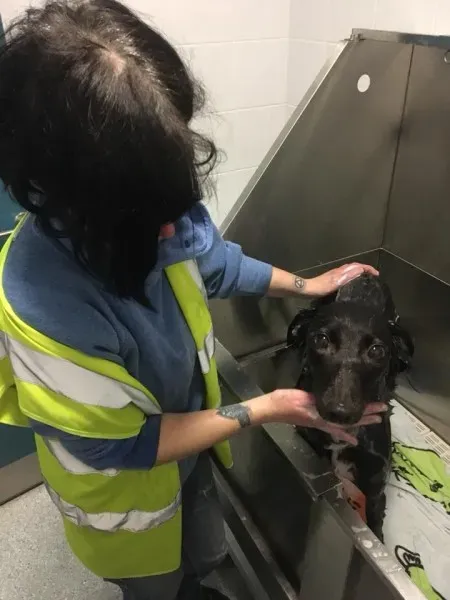 25353806 1960720583945631 4424456035563083493 n