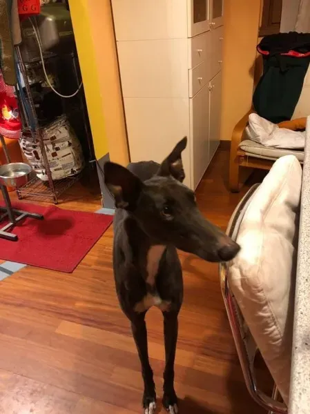 25353960 1568953589855157 577504914311940527 n