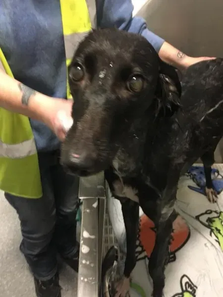 25354077 1960720563945633 7591255444577405277 n